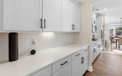 Palmetto carpenters _-_Adams_Glen_Model_home_and_Aerials-15