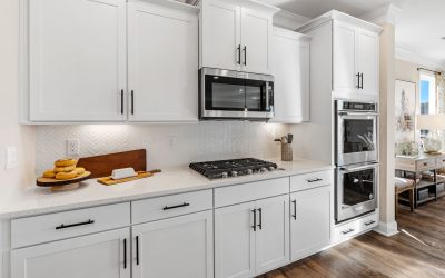Palmetto carpenters -_Adams_Glen_Model_home_and_Aerials-16 (1)