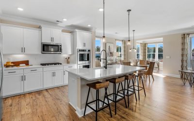 Palmetto carpenters -_Adams_Glen_Model_home_and_Aerials-18