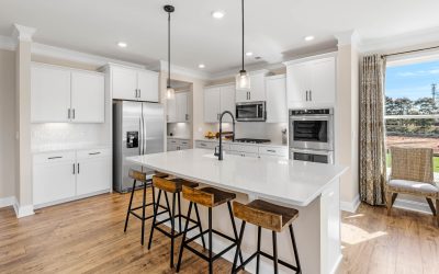 Palmetto carpenters _Adams_Glen_Model_home_and_Aerials-19