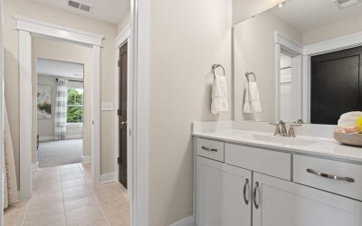 Palmetto carpenters harrington